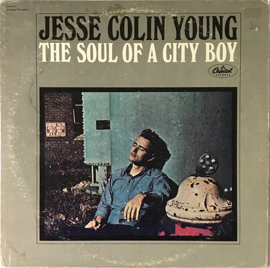 Jesse Colin Young : The Soul Of A City Boy (LP,Album,Reissue)