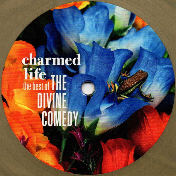 Divine Comedy, The : Charmed Life (The Best Of Divine Comedy) (LP)