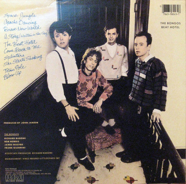 Bongos, The : Beat Hotel (LP,Album)