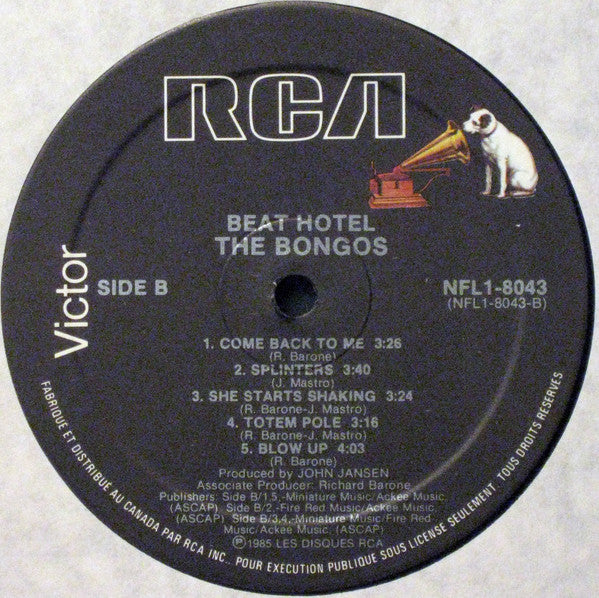 Bongos, The : Beat Hotel (LP,Album)