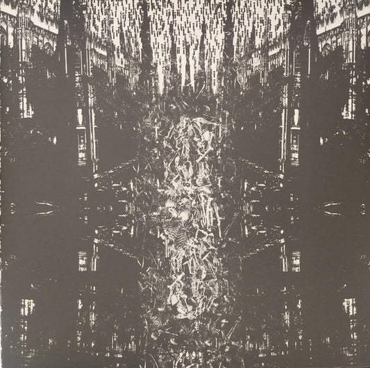 Abstracter : Abominion (LP,Album)