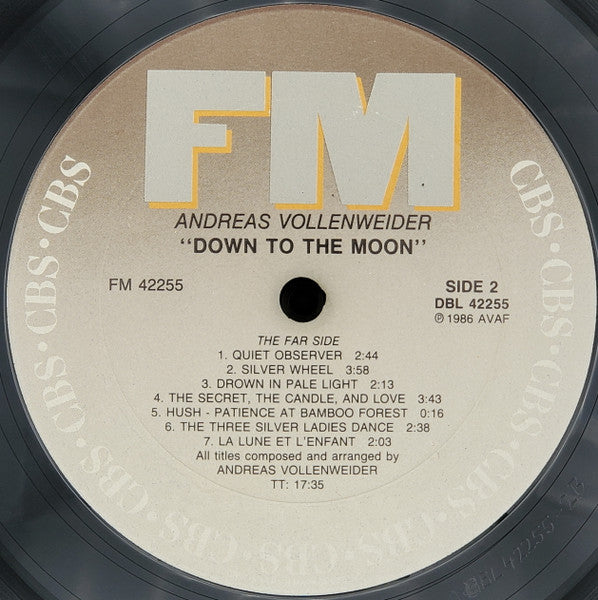 Andreas Vollenweider : Down To The Moon (LP,Album)