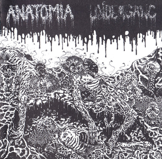 Anatomia /  Undergang (2) : Anatomia / Undergang (EP)