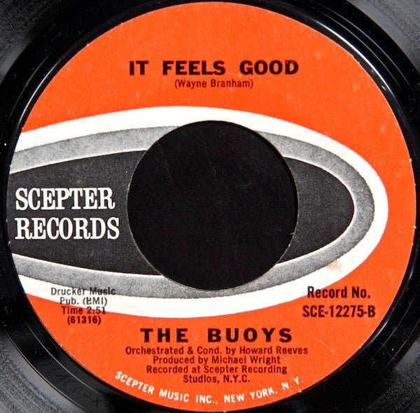 Buoys, The : Timothy (7",45 RPM,Single,Styrene)