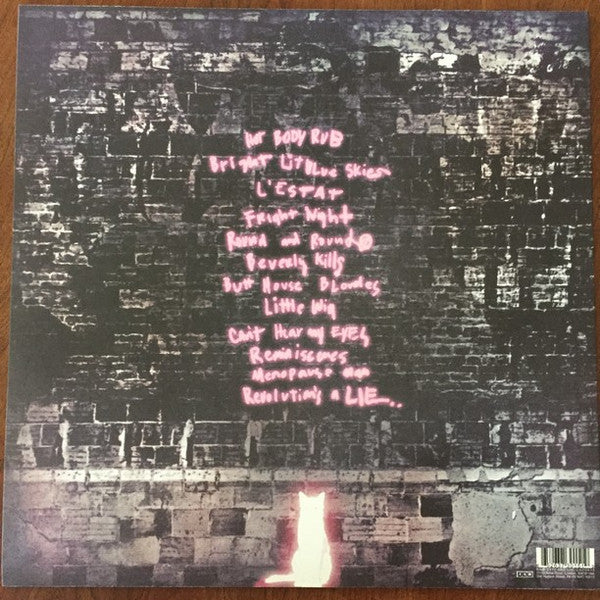 Ariel Pink's Haunted Graffiti : Before Today (LP,Album)