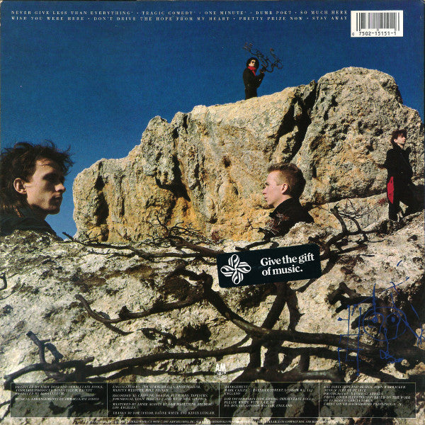 Immaculate Fools : Dumb Poet (LP,Album)