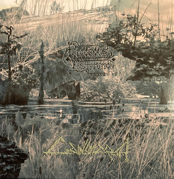Rigorous Institution : Cainsmarsh (LP,Album)