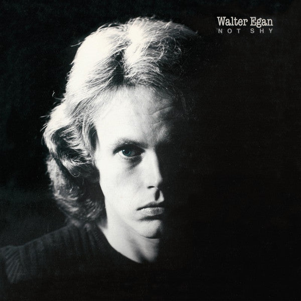 Walter Egan : Not Shy (LP,Album)