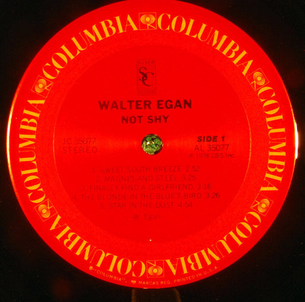 Walter Egan : Not Shy (LP,Album)