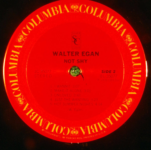 Walter Egan : Not Shy (LP,Album)
