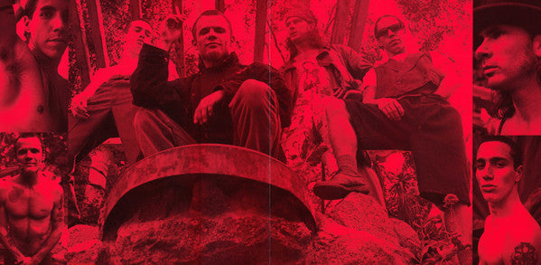 Red Hot Chili Peppers : Blood Sugar Sex Magik (LP,Album,Reissue,Repress)