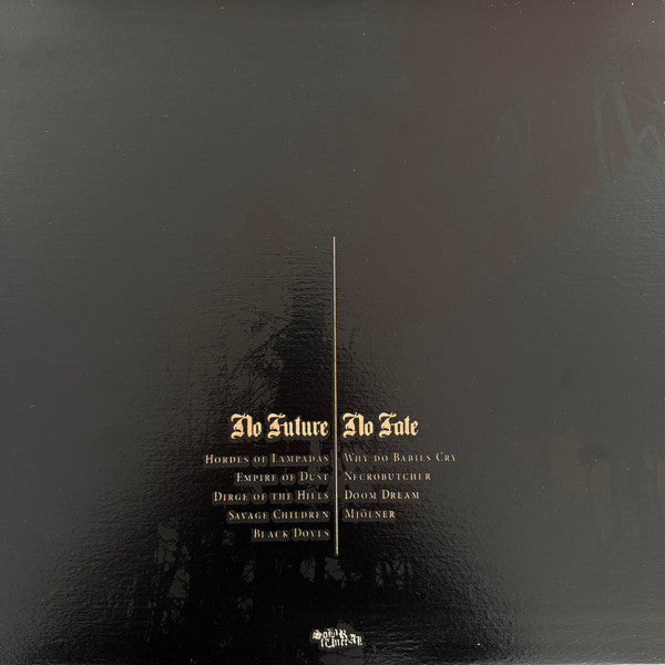 Black Dove (2) : No Future No Fate (12",45 RPM)