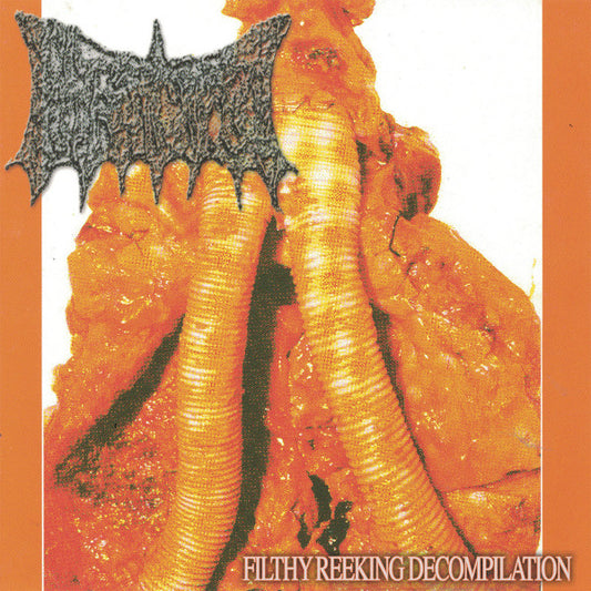 Biocyst : Filthy Reeking Decompilation (LP,Compilation)