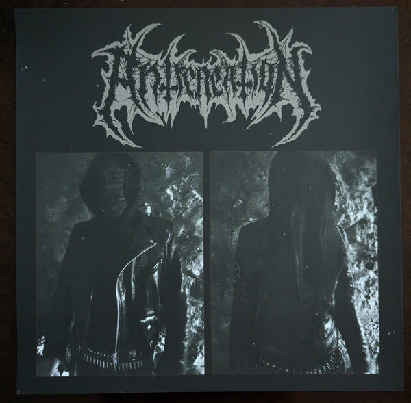 Anticreation : From The Dust of Embers (LP,Album)