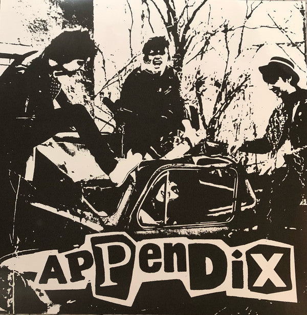 Appendix : Ei Raha Oo Mun Valuuttaa (LP,Album,Repress)