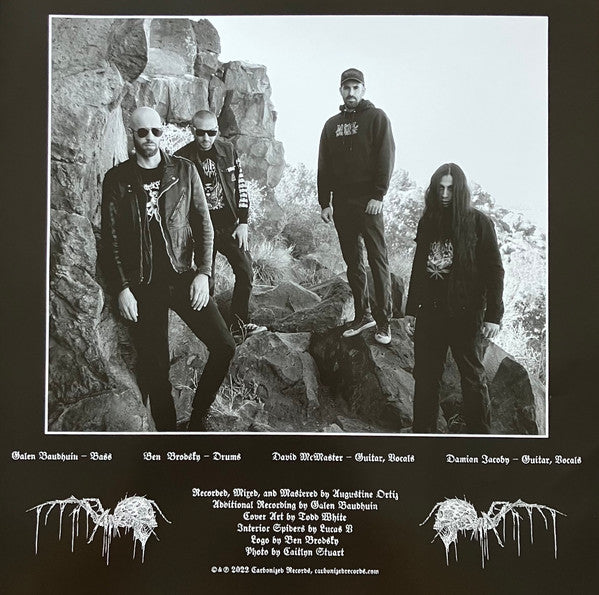 Street Tombs : Reclusive Decay (LP,Album)