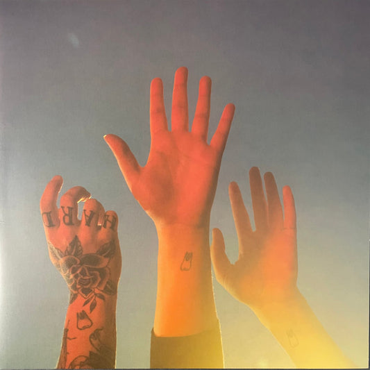 Boygenius : The Record (LP,Album)