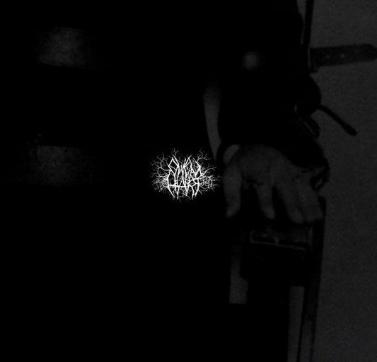 Owen Hart : Earth Control (LP,Album)