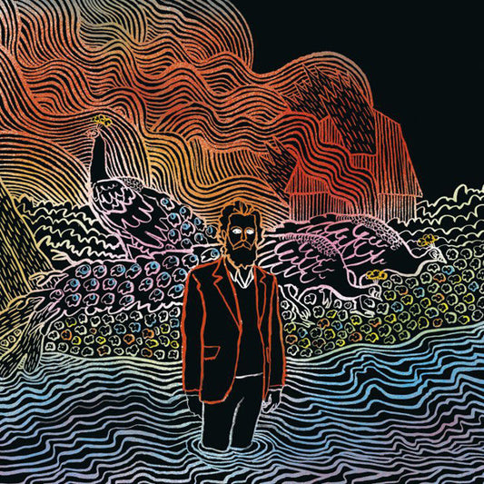 Iron And Wine : Kiss Each Other Clean (LP,Album)