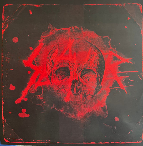 Slayer : World Painted Blood (LP,Album,Reissue)