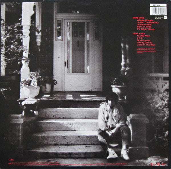 Bob Dylan : Under The Red Sky (LP,Album,Stereo)