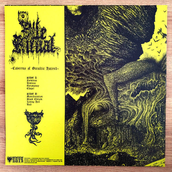 Vile Ritual : Caverns Of Occultic Hatred (LP,Album)