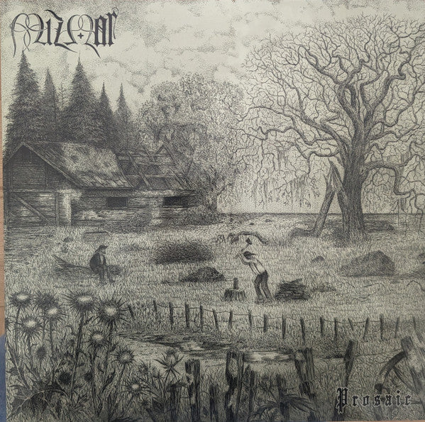 מזמור : Prosaic (LP,Album)