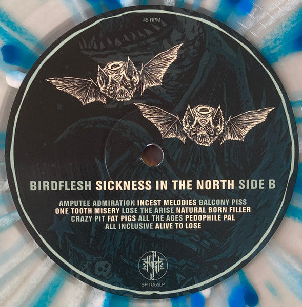 Birdflesh : Sickness In The North (LP,Album,Limited Edition)