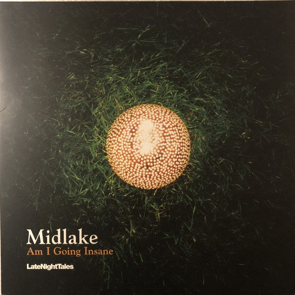 Midlake : Am I Going Insane (12",45 RPM,Single,Limited Edition)