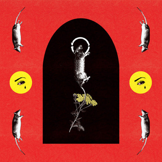 DRYBNZ : DRYBNZ (LP,Album)