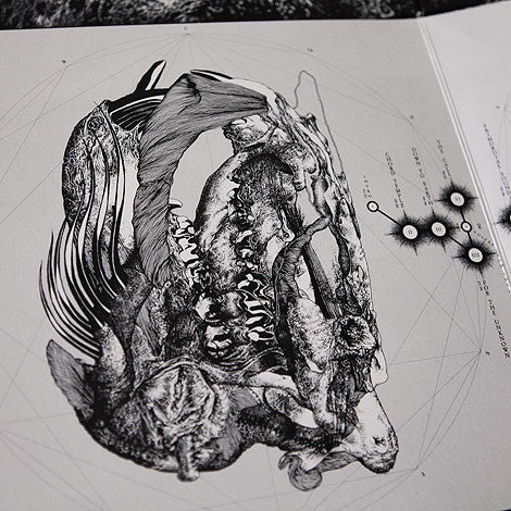 Bloody Sign : Chaos Echoes (LP)