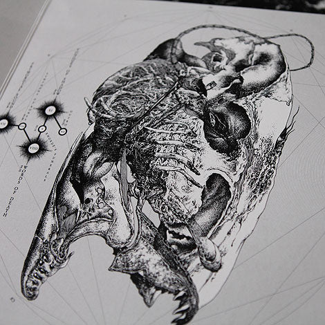 Bloody Sign : Chaos Echoes (LP)