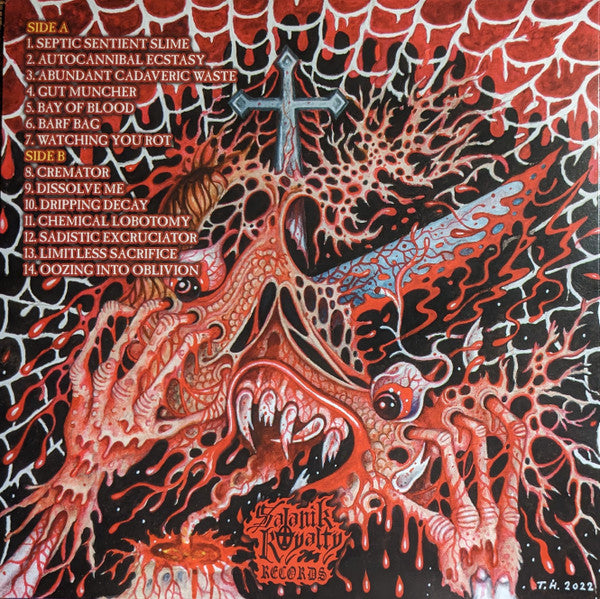 Dripping Decay : Festering Grotesqueries (LP,Limited Edition,Stereo)