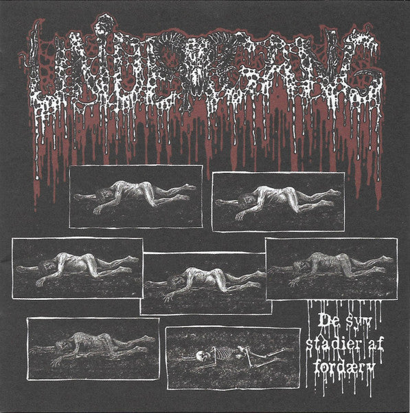 Undergang (2) : De Syv Stadier Af Ford​æ​rv (EP)