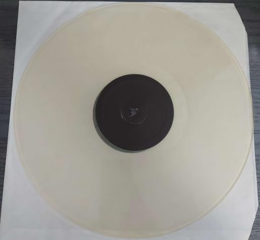 Pussy Riot : In Riot We Trust (LP,Single Sided,Compilation,Limited Edition,Numbered)