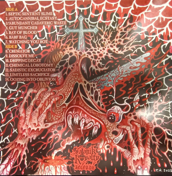 Dripping Decay : Festering Grotesqueries (LP,Stereo)