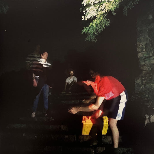 True Faith (5) : Go To Ground (LP)