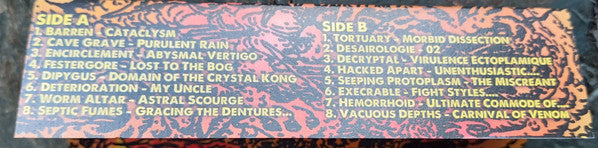 Various : Noxious Ruin Magazine Vol. 8 (Album,Compilation)