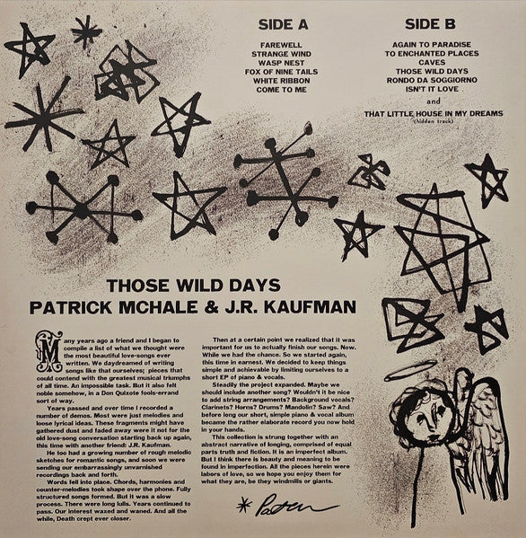 Patrick McHale, Joshua Kaufman : Those Wild Days (LP)