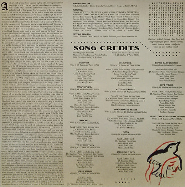 Patrick McHale, Joshua Kaufman : Those Wild Days (LP)