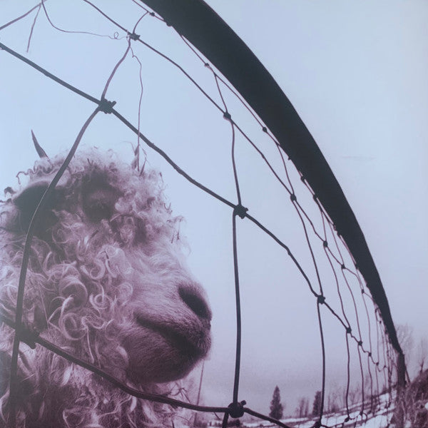 Pearl Jam : Vs. (12",45 RPM,Album,Reissue,Remastered)