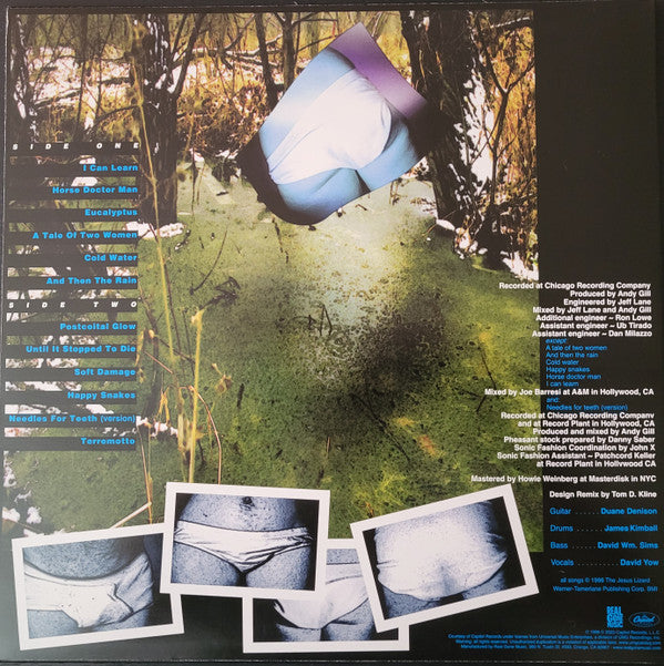Jesus Lizard, The : Blue (LP,Album,Record Store Day,Reissue,Repress)