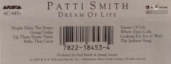Patti Smith : Dream Of Life ()