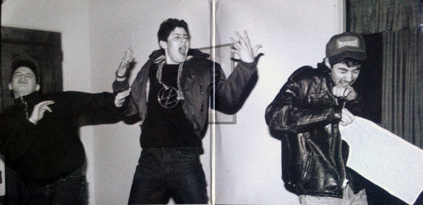 Beastie Boys : Solid Gold Hits (LP,Compilation)