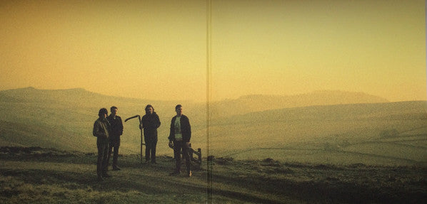Arctic Monkeys : Suck It And See (LP,Album)