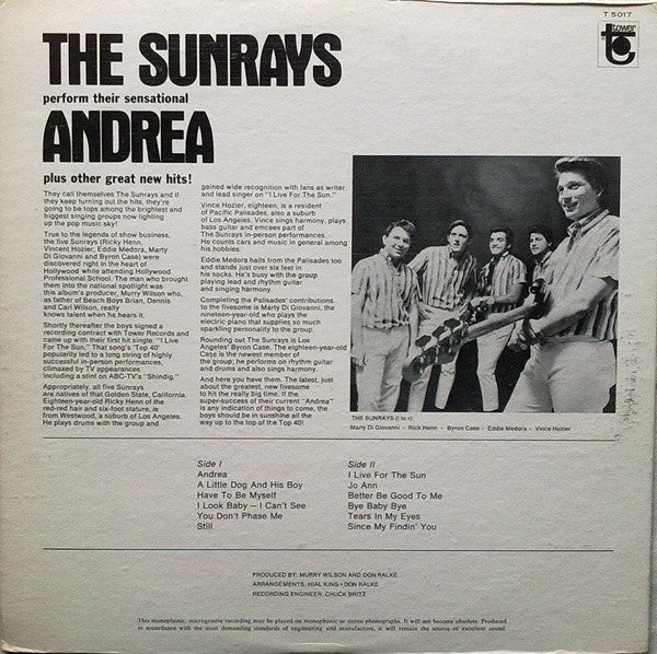 Sunrays, The : Andrea (LP,Album,Mono)