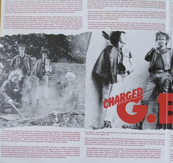 G.B.H. : Leather, Bristles, No Survivors And Sick Boys... (LP,Compilation,Reissue)