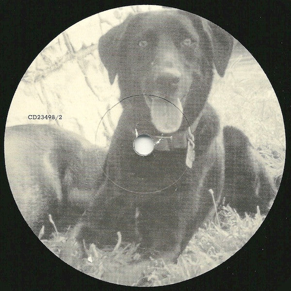 Various : Voice Of The Voiceless (LP,Compilation)