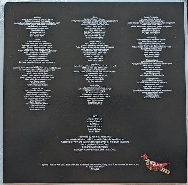 LAKE (4) : Let's Build A Roof (LP,Reissue,Remastered,Stereo)