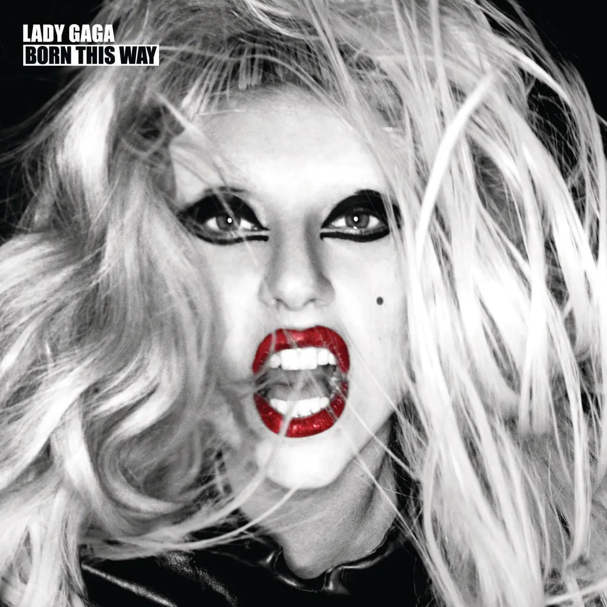 Lady Gaga - Born This Way - Vinyl